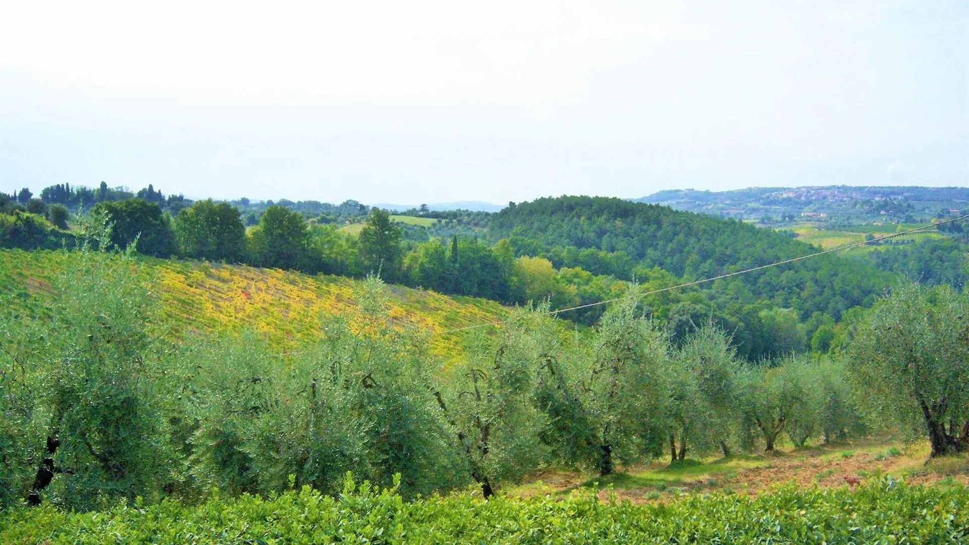 Holiday home Idyllic Farmhouse In Gambassi Terme Fi With Swimming Pool Querce  Italy