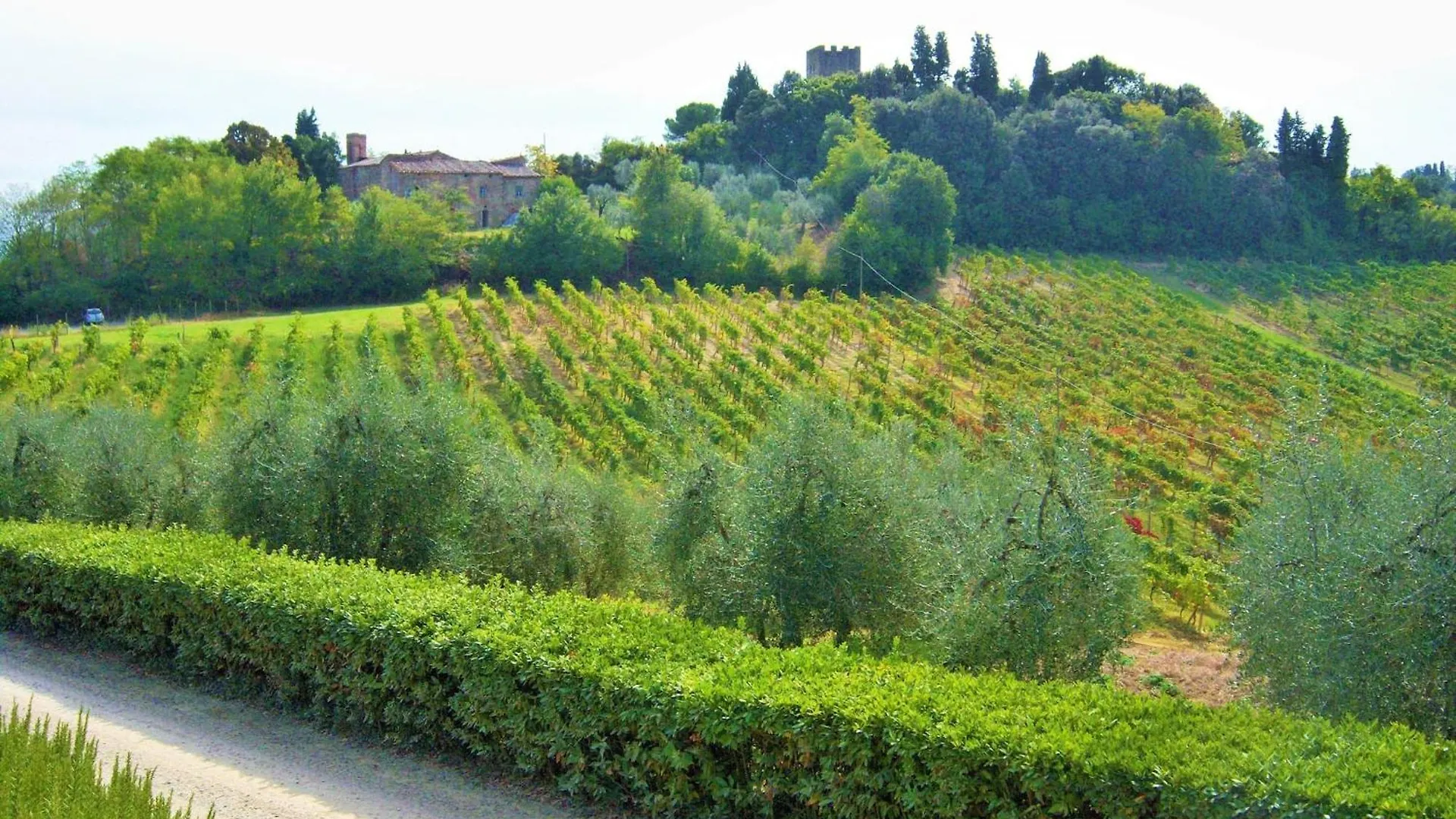 Idyllic Farmhouse In Gambassi Terme Fi With Swimming Pool Querce  Querce (Lucca)